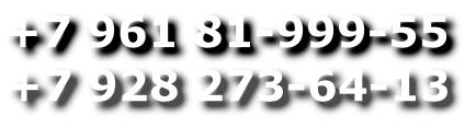 +7 928 273-64-13
